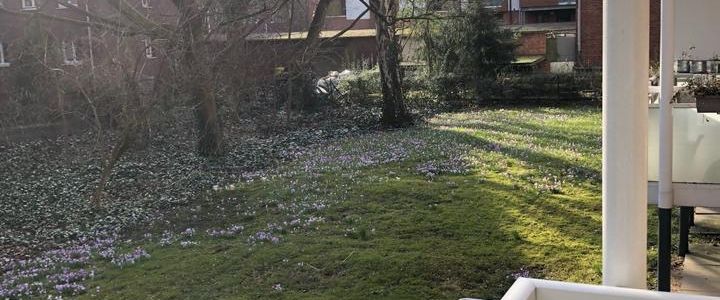 1,5-Zimmer Wohnung zur Zwischenmiete (evtl. Übernahme möglich) - Foto 1