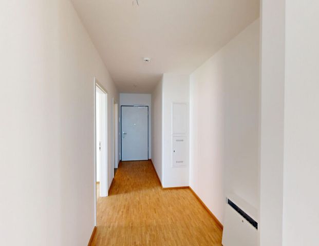 3-Zimmer-Wohnung mit Einbauküche und Tageslichtbad - Photo 1
