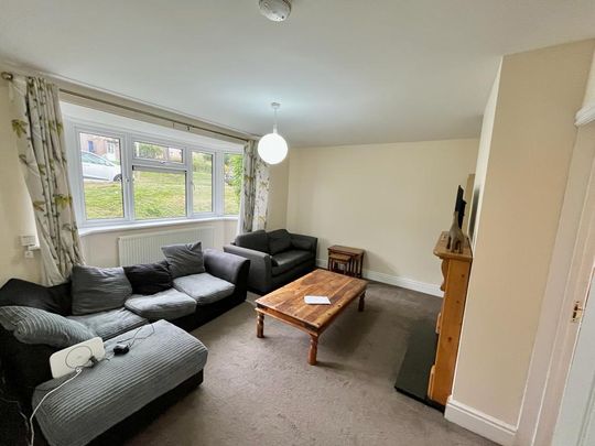 4 bedroom private hall to rent - Photo 1