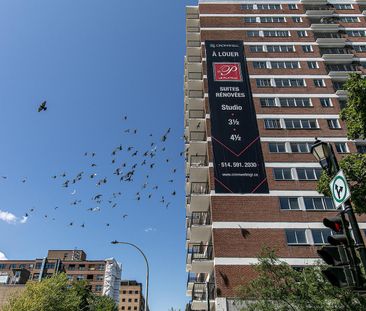 3605 Rue Saint-Urbain, Montréal, QC - Photo 4