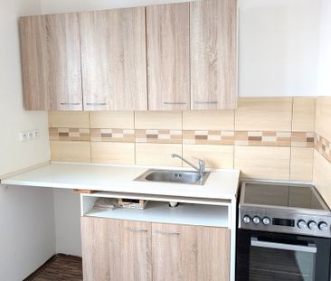 Pronájem bytu 1+1 v osobním vlastnictví 36 m², Tisá - Photo 2