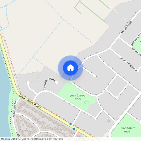 41 Maple Road, NSW 2650, Lake Albert