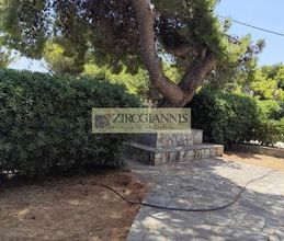 Μονοκατοικία για ενοικίαση - Σπάτα, - Φωτογραφία 5