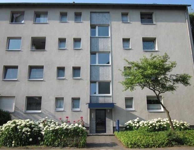 Ab sofort: Moderne 3-Zimmer-Erdgeschoss-Wohnung in Düsseldorf-Holthausen - Photo 1