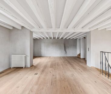 Superb triplex apartment with private garden in Collex-Bossy - Photo 3