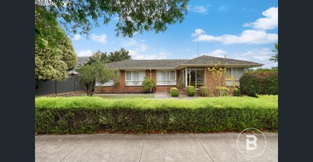 IMMACULATE THREE BEDROOM HOME IN ALFREDTON - Photo 4