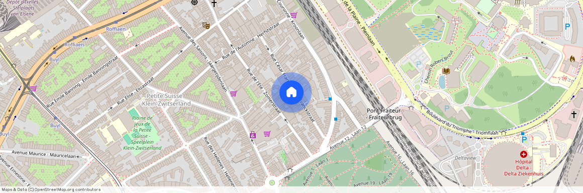 Rue César Franck 41b, 1050, Ixelles