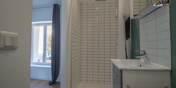 Location F2 INDÉPENDANT SUR BARCY - Photo 3