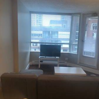 FURNISHED DOWNTOWN STUDIO - Photo 3