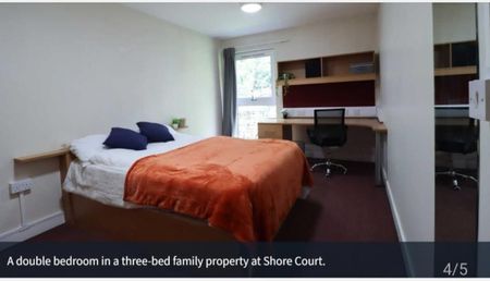 3 Bed Flat, Shore Lane, S10 - Photo 4