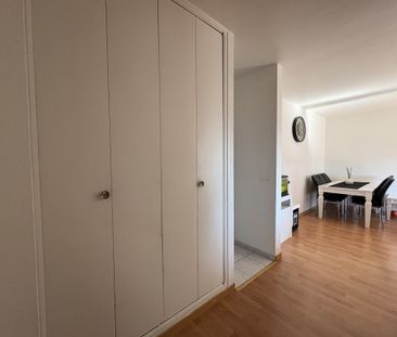 Location Appartement 4 pièces 77m² ST LOUIS 68300 - Photo 6