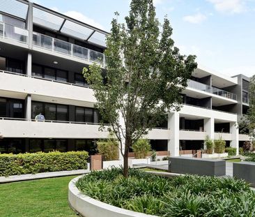 Modern & Tranquil Courtyard Living | Floorboards - Photo 6
