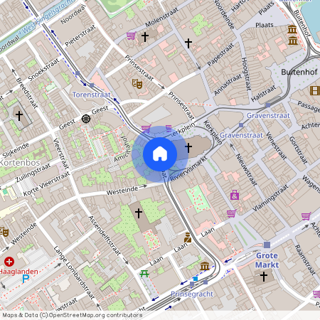 Torenstraat 2513 BS 's-Gravenhage