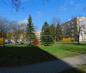 Poznań, Stare Miasto, Winogrady - Photo 6