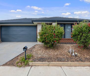 Modern Comfort Awaits at 9 Wembley! - Photo 1