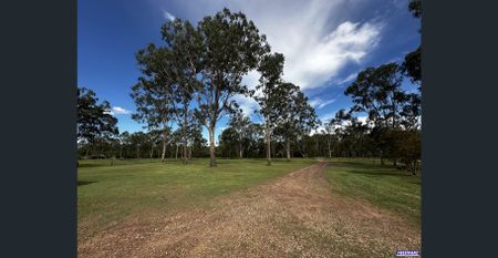 Rural Rental on 3 Acres - Freshly Renovated - Photo 4