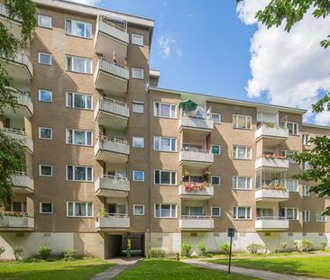 Sanierte 1-Zimmer-Wohnung - Foto 1