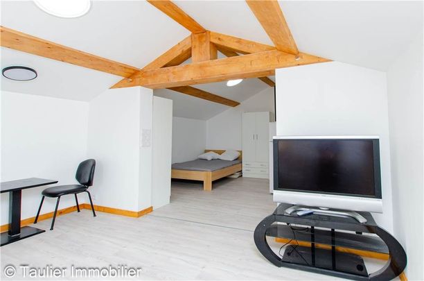Location Appartement 1 pièce 28m² CHATTE 38160 - Photo 1