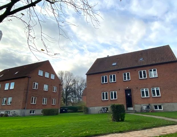 2 værelses – Plumsgade 14, st. th – Odense C - Foto 1