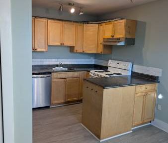 Pet-Friendly 1 Bedroom Apartment for Rent in the Heart of White Rock! - Photo 4