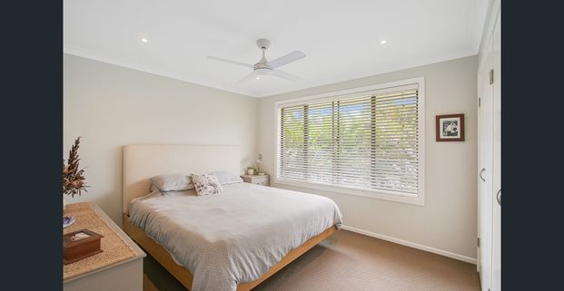 Modern Renovation, Large Shed! - Photo 1