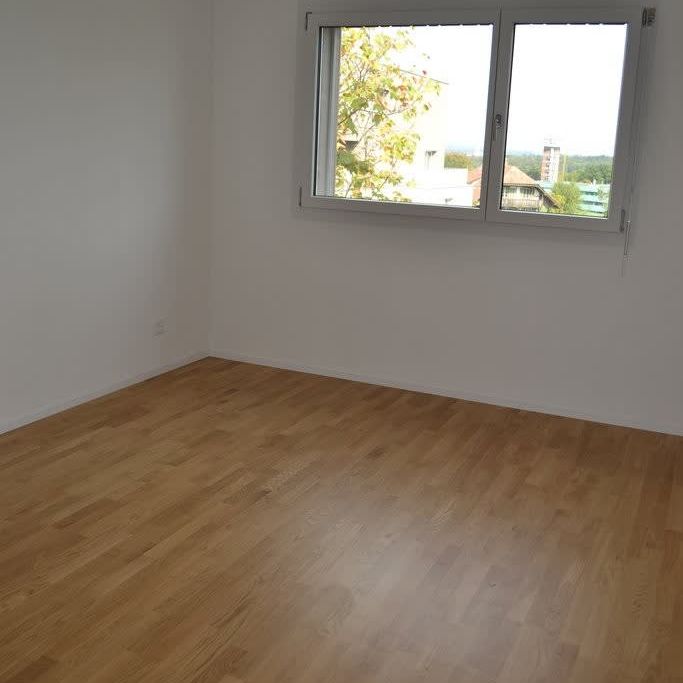 3.5 Zimmer, 76 m², 3. Stock - Foto 1