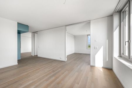 Neubauwohnung mit Aussicht in Uster - Foto 3