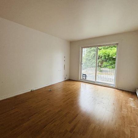 Appartement 4 ½ à louer Lévis juillet 2026 - Photo 3