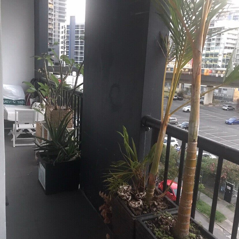 South Brisbane - Photo 1