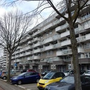 Voermanweg, 3067 JW Rotterdam, Nederland - Foto 2