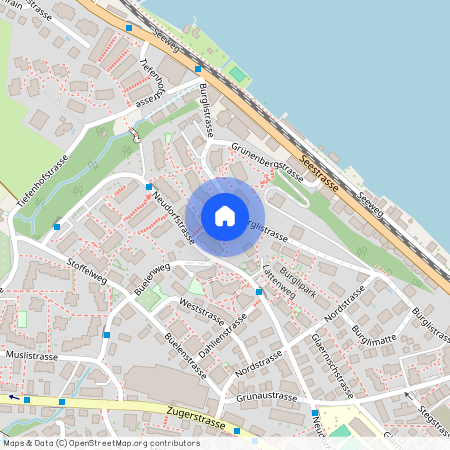 Neudorfstrasse 36, 8820 Wädenswil