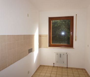 Ruhige Lage: 3-Zi. Wohnung Nbg. - Zerzabelshof / Wohnung mieten - Foto 1