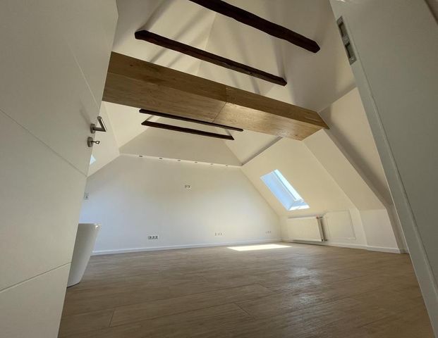 Moderne 3 Zi-Luxuswohnung am Schlosspark - Foto 1