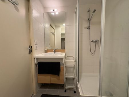 Location Appartement 1 pièce 19m² GRENOBLE 38000 - Photo 5