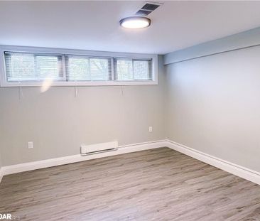 For Lease - 88 Burkholder Drive Unit# Lower, Hamilton, Ontario - Photo 4