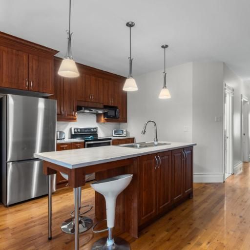 5 1/2 - Montréal (Hochelaga / Maisonneuve) - 1 800 $/mois - Photo 1