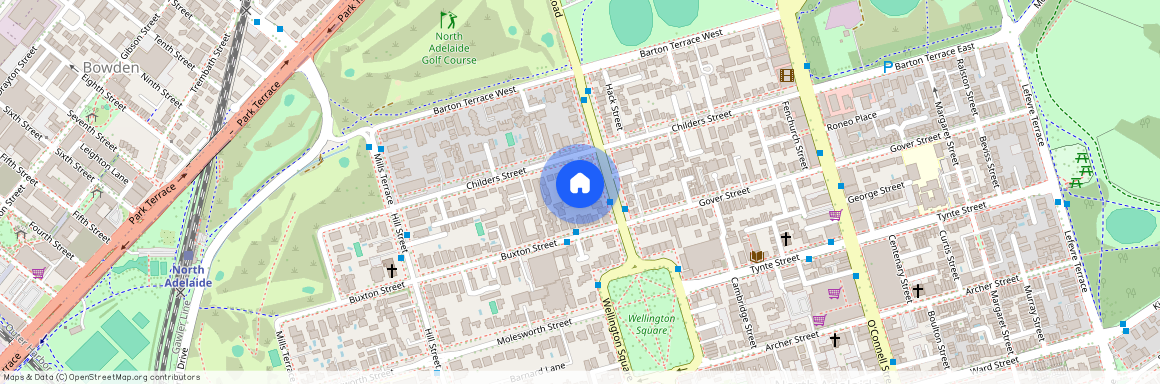 19 Munks Place, North Adelaide SA 5006