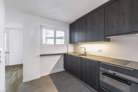 appartement lumineux et moderne au château de Binningen - Photo 3