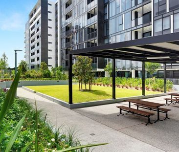 212/42 Church Avenue, Mascot NSW 2020 - Apartment For Rent | Domain - Photo 1