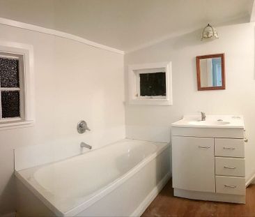 Fully Renovated Gem in Aro Valley - Photo 6