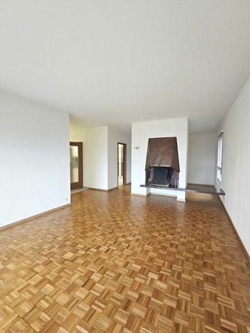 4.5 locali ristrutturato con ampia terrazza - Photo 2