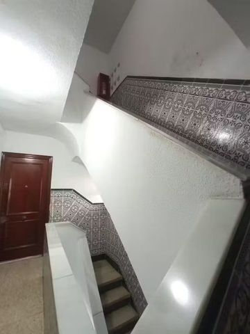 Santo Domingo Savio, Sevilla, Andalusia 41008 - Photo 4