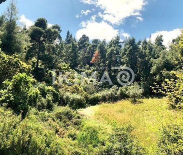 Μεζονέτα για ενοικίαση Πολύχρονο (Παλλήνη) - Photo 4