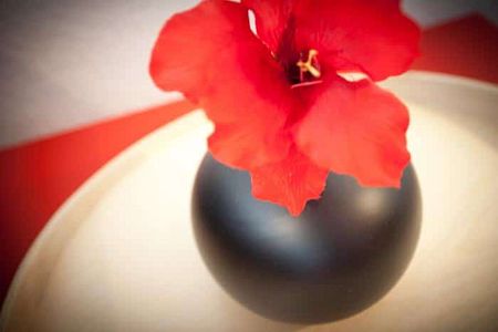 Immobilien - Photo 5