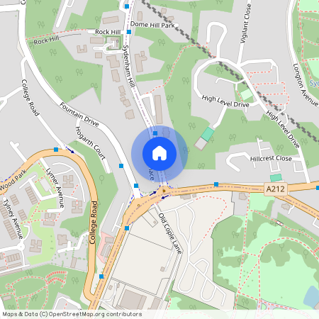 Sydenham Hill, SE26, SE26 6SJ, London