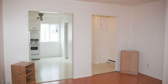 LIBRE, Gatineau – Grand Studio/Bachelor - Photo 3