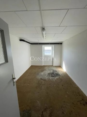 sonnige 2,5 Zi - DG - ca. 59 m² - Erstbezug - Schniegling - Photo 3