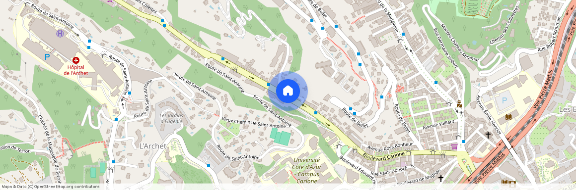 52 Av. de la Bornala, 06000 Nice