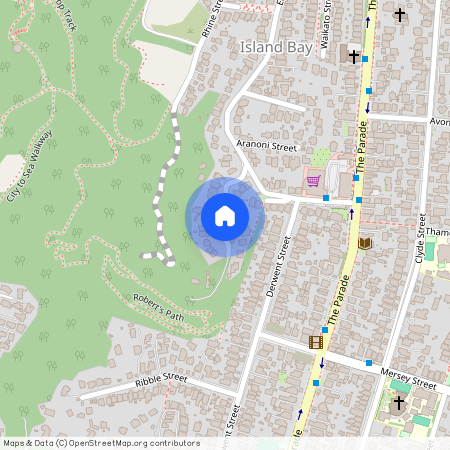 17 Freeling Street, Island Bay, Wellington