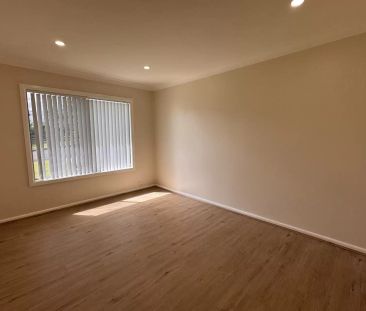 Newly Renovated - Photo 2